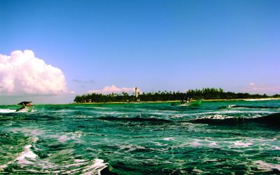Isla de Lobos y Arrecifes